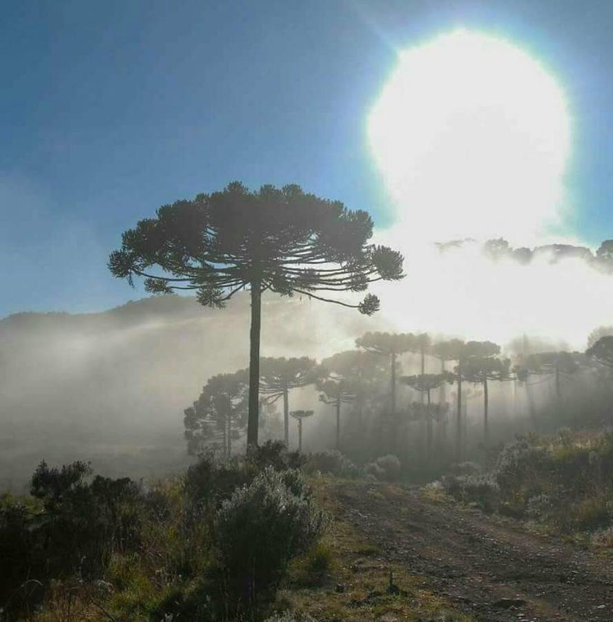 Paraiso Dos Canions Bom Jardim da Serra Kültér fotó